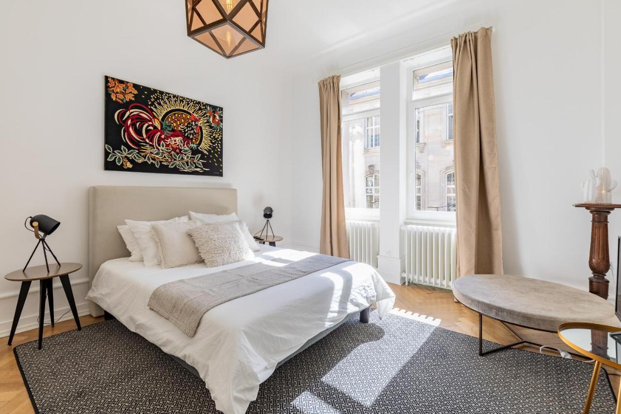 Luxueux Appartement Centre Ville Strasbourg Ngoại thất bức ảnh
